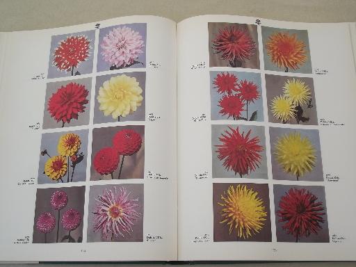 vintage Color Dictionary of Flowers & Plants, Royal Horticultural Society 