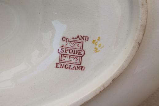 vintage Copeland Spode china rosebud chintz gravy boat / sauce pitcher with underplate