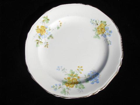 vintage Crown Potteries china cake plates, forget-me-not flowers in blue & yellow