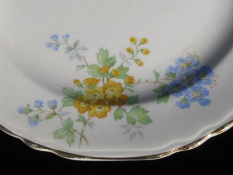 vintage Crown Potteries china cake plates, forget-me-not flowers in blue & yellow