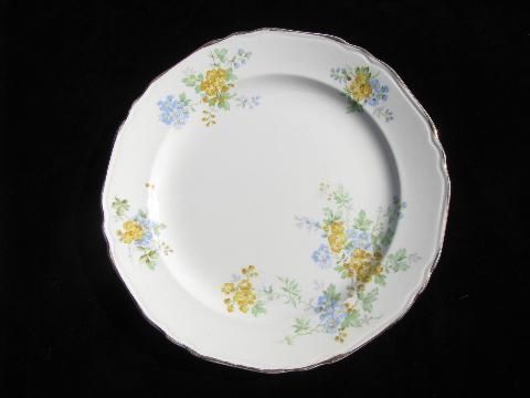 vintage Crown Potteries china dinner plates, forget-me-not flowers in blue & yellow