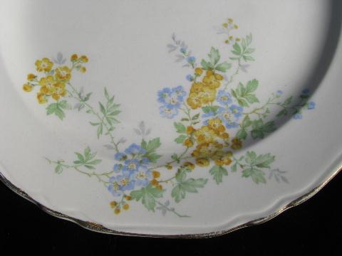 vintage Crown Potteries china dinner plates, forget-me-not flowers in blue & yellow