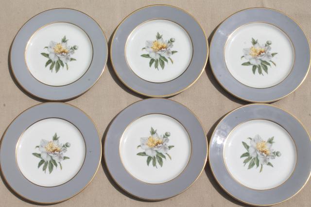 vintage Golden Peony Princess china plates, dessert or bread & butter plate set