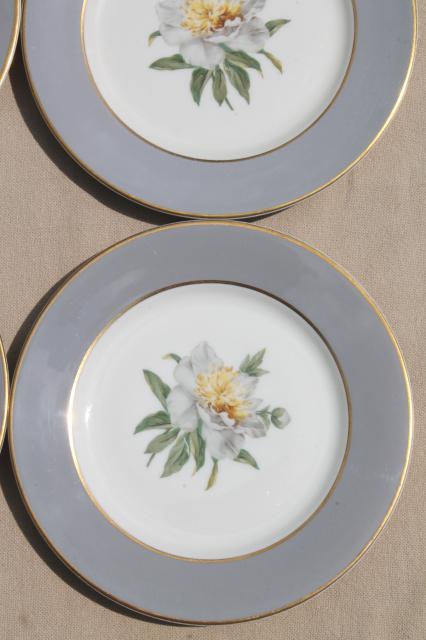 vintage Golden Peony Princess china plates, dessert or bread & butter plate set
