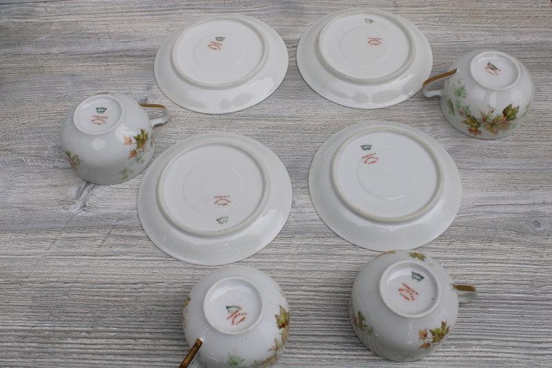 vintage Haviland Limoges France china tea cups  saucers autumn leaves maple leaf pattern