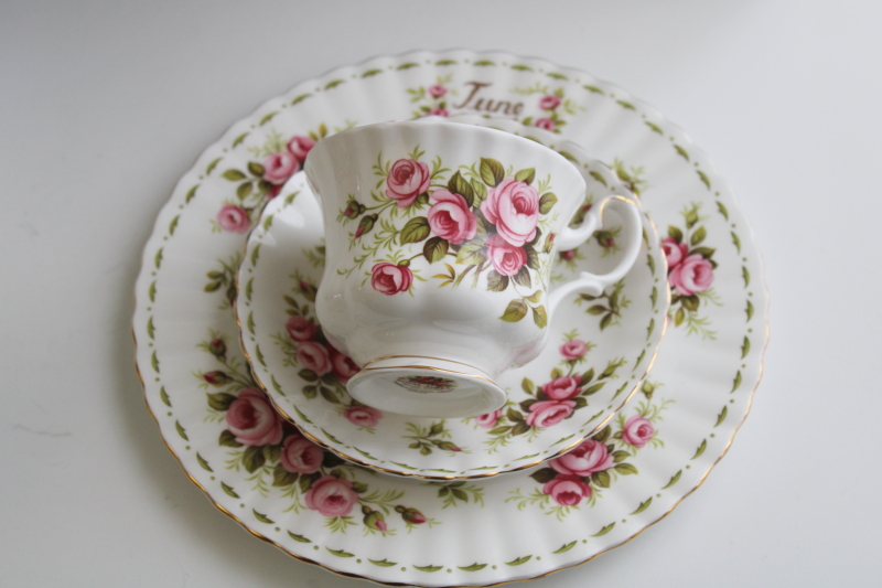 vintage Royal Albert June roses flower of the month china tea cup  saucer w/ plate