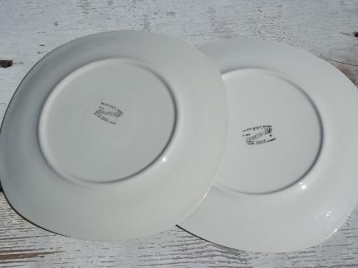 vintage TS&T pottery, Taylor, Smith & Taylor magnolia china salad plates