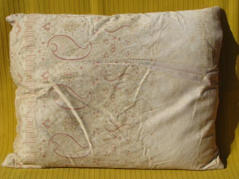 vintage baby size feather pillows, 1920s flowered cotton fabric covers