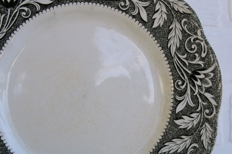 vintage black transferware china dinner plates, English ironstone J-G Meakin Renaissance pattern