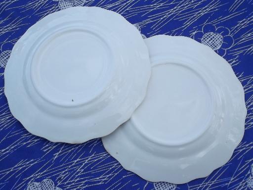 vintage creamware china plates, Crooksville birds and flowers embossed border