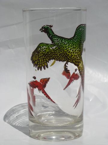 vintage game birds pattern glasses, colored bird print tumblers set