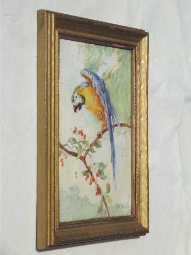 vintage oil on board painting, parrot picture in antique gold wood frame