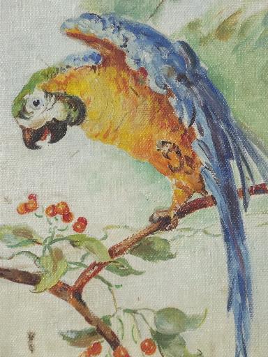 vintage oil on board painting, parrot picture in antique gold wood frame