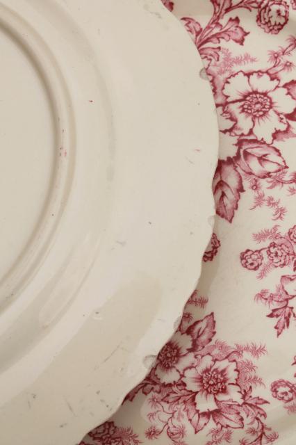 vintage raspberry red chintz floral Taylor Smith Taylor china plates, toile style print
