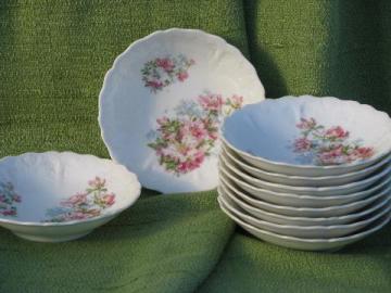 10 antique azalea lily floral china fruit bowls, vintage Germany?