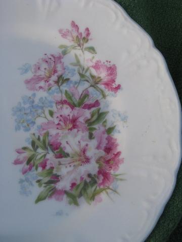 10 antique azalea lily floral china salad plates, vintage Germany?