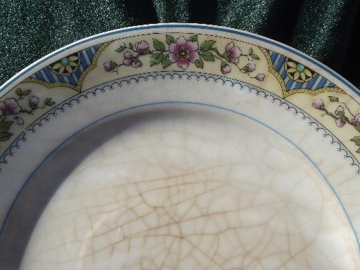 10 old antique Homer Laughlin china plates, shabby vintage tiny floral