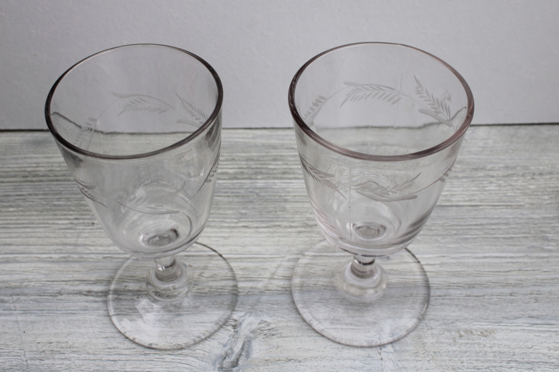 1800s antique glass goblets, wine or water glasses w/ etched fern leaf pattern