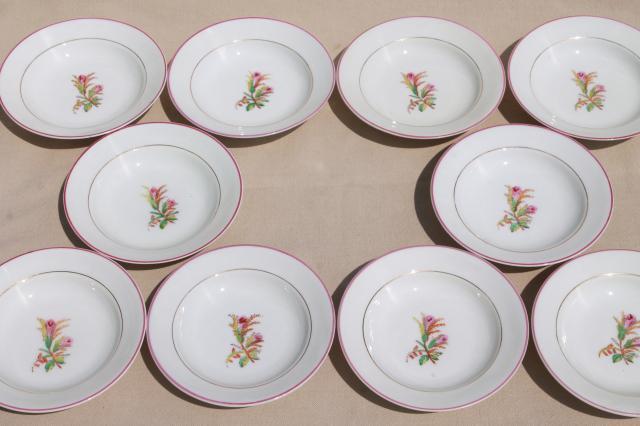 1800s vintage antique moss rose china, set of 10 fruit bowls or dessert dishes