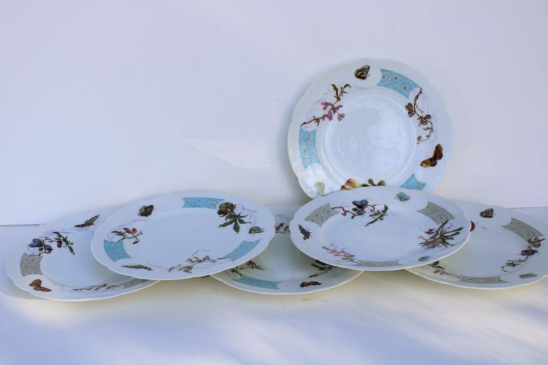 1870s 80s antique Haviland Limoges plates w/ butterflies, tiffany blue border