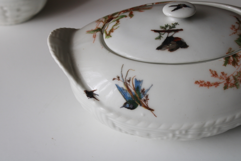 1880s antique H&Co Haviland Limoges china pitcher  serving dish Meadow Visitors birds on basketweave