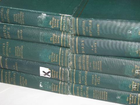 1920s The Cambridge Natural History, 10 large illustrated volumes