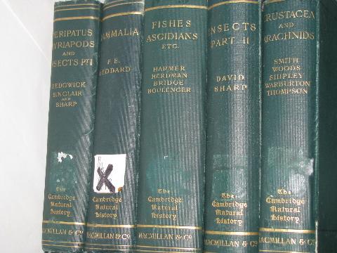 1920s The Cambridge Natural History, 10 large illustrated volumes