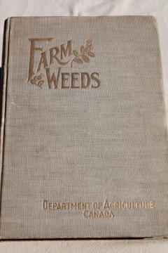 1920s vintage Dept of Agriculture Farm Weeds of Canada, antique botanical illustrations in color