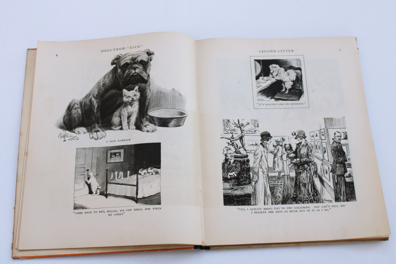 1920s vintage Dogs from Life magazine, early 1900s cartoon art, comic drawings