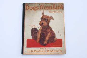 1920s vintage Dogs from Life magazine, early 1900s cartoon art, comic drawings