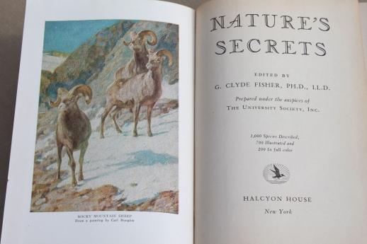 1920s vintage natural history book w/ color illustrated plates, birds, animals, botany
