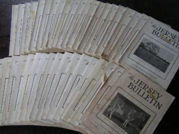 1939 jersey bulletins, dairy cattle cows pedigrees, ads