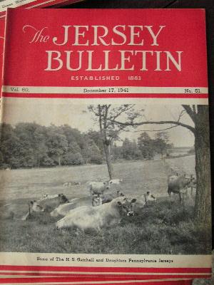 1941 jersey bulletins, dairy cattle cows pedigrees, ads