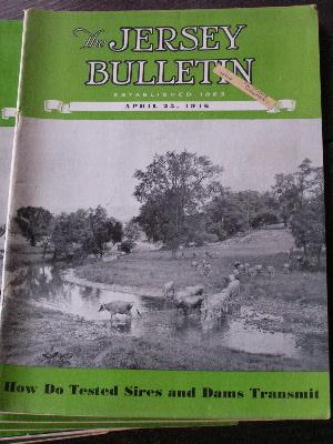 1946 jersey bulletins, dairy cattle cows pedigrees, ads
