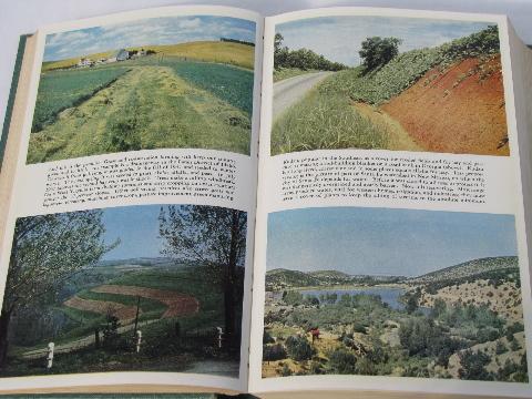 1948 USDA Agriculture Yearbook, all about grass