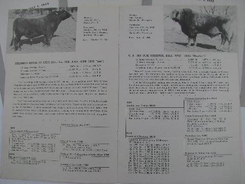 1950s vintage Brown Swiss sire pedigree catalogs, early AI breeding bulls, ABS