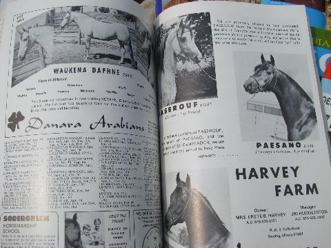 1969 full year of back issues Arabian Horse World magazines