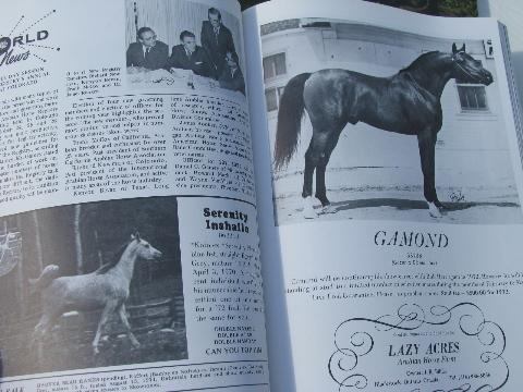 1972 lot of back issues Arabian Horse World magazines