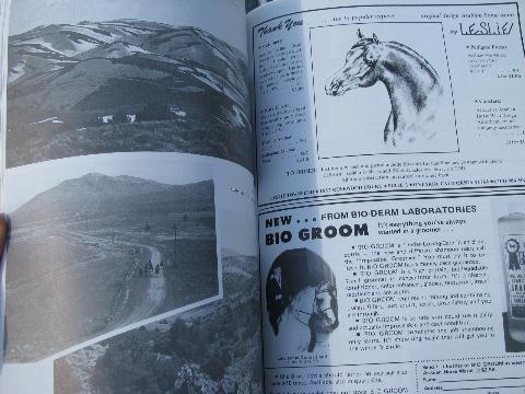 1972 lot of back issues Arabian Horse World magazines