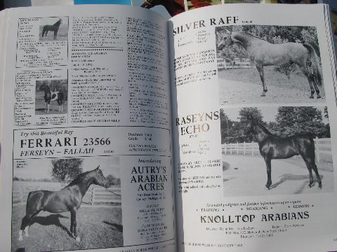 1973 full year of back issues Arabian Horse World magazines