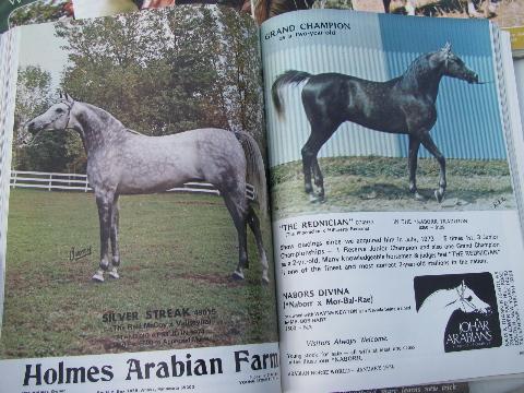 1974 full year of back issues Arabian Horse World magazines
