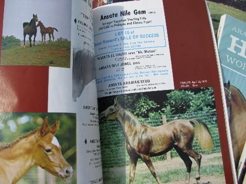 1975 full year of back issues Arabian Horse World magazines