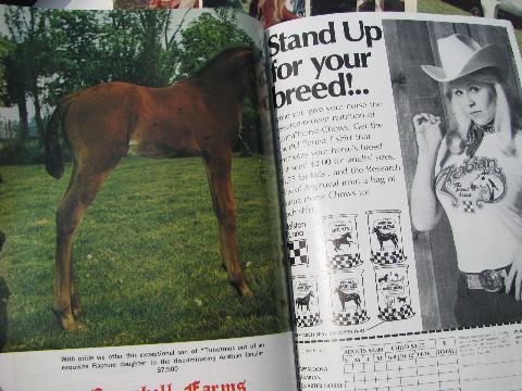 1975 full year of back issues Arabian Horse World magazines