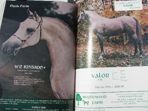 1976 full year of back issues Arabian Horse World magazines