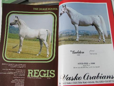 1977 lot of back issues Arabian Horse World magazines