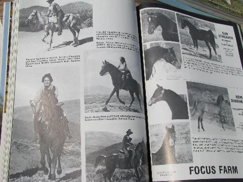 1977 lot of back issues Arabian Horse World magazines