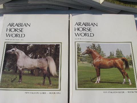 1979 lot of back issues Arabian Horse World magazines