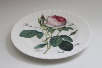 1990s vintage Roy Kirkham Rodoute roses bone china salad plate, botanical print illustration