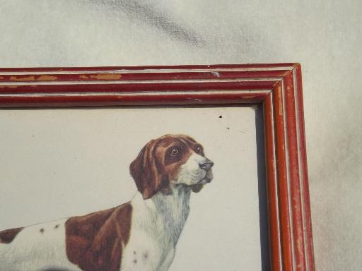 40s 50s vintage miniature print, framed picture of hunter / pointer dog