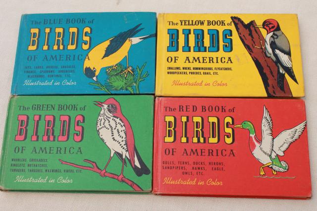 50s vintage Whitman Guides, lot of 10 little guide books flowers, trees, birds, fish